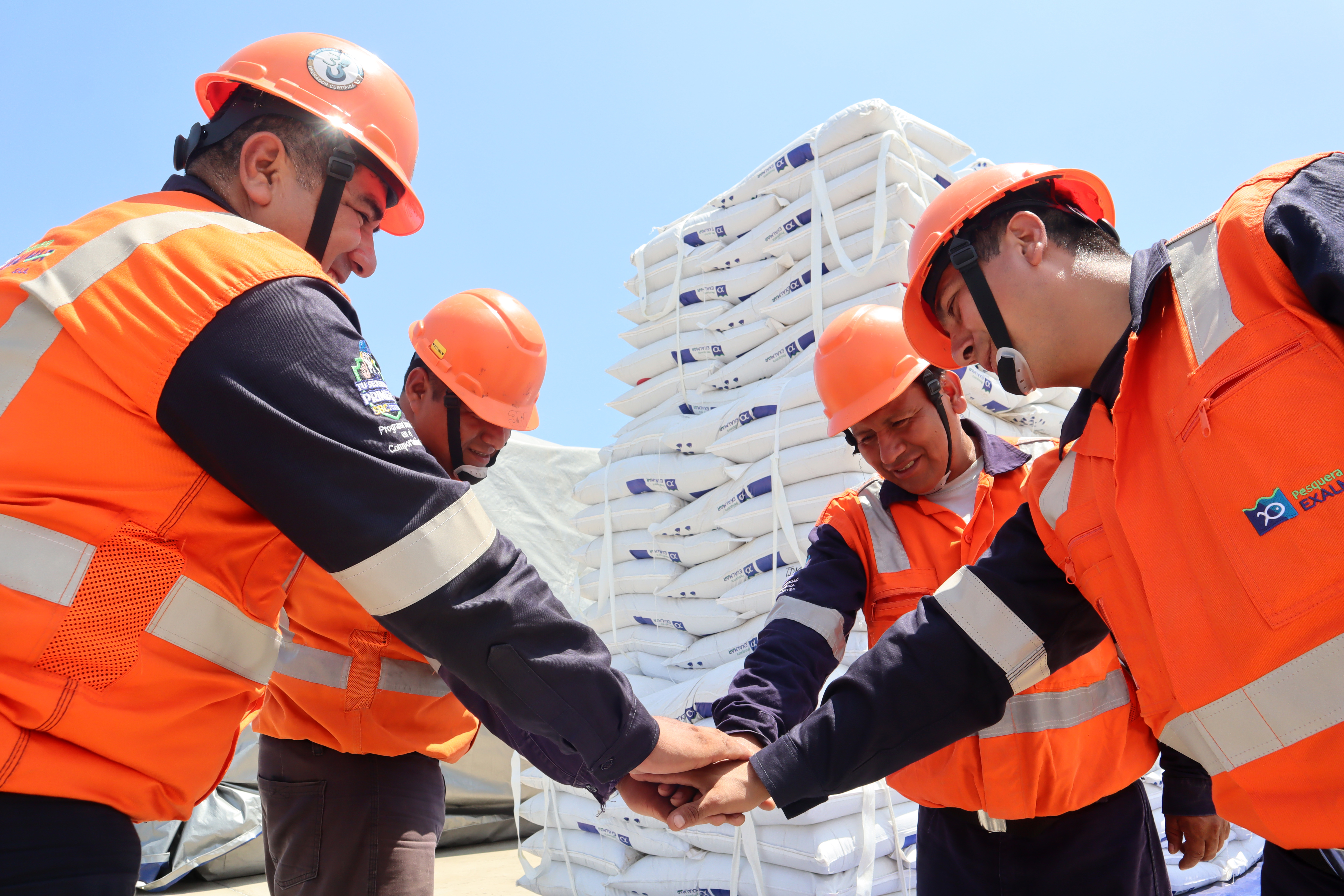 Equipo de colaboradores Exalmar uniendo manos