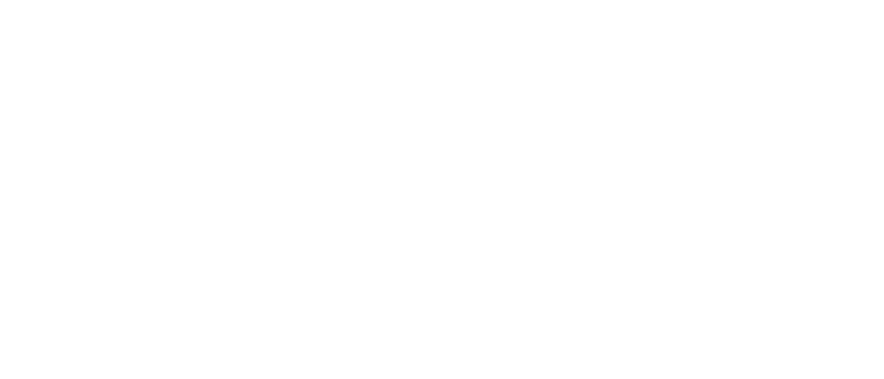 Centro Hirsch
